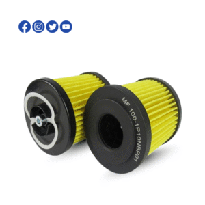 Replace MPee Filter MF1001P10NBP01